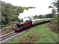 SO6204 : Dean Forest Railway at Upper Forge by Gareth James