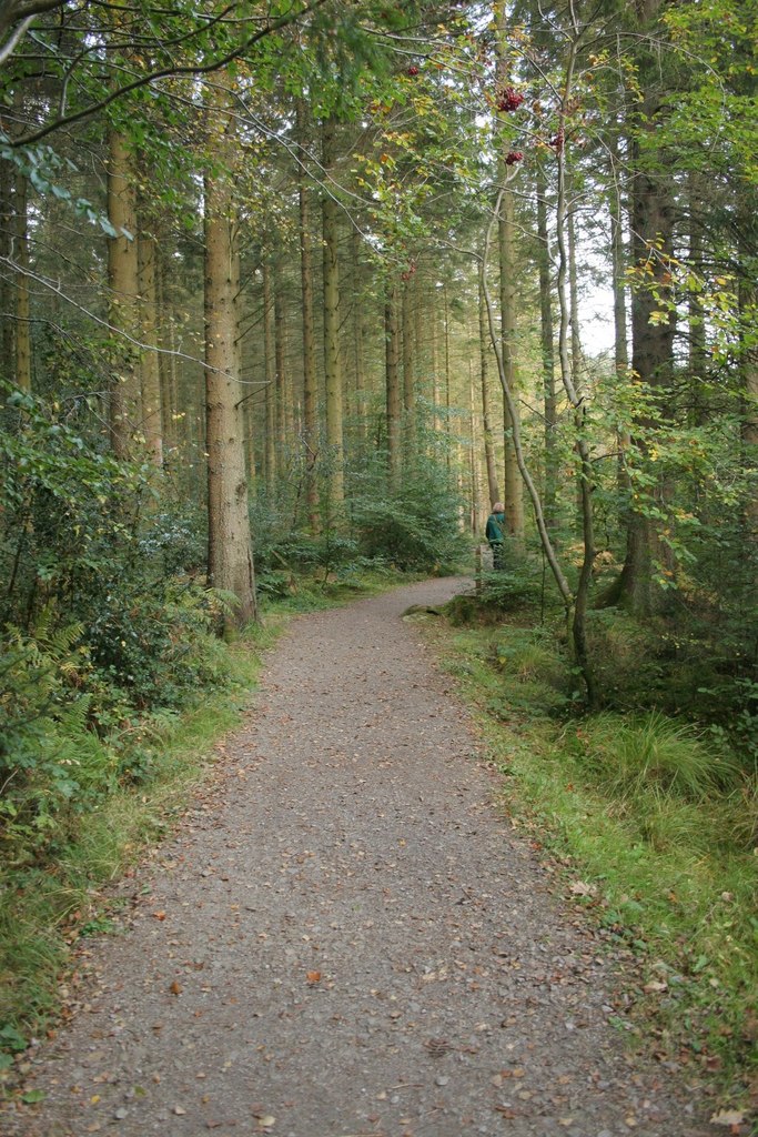 Woodland walk, Dalbeattie Forest © Richard Sutcliffe :: Geograph ...