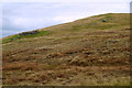 HU2947 : Planticrub on a hillside above Seli Voe, near Gruting by Mike Pennington