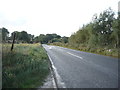 Halesworth Road (A1095), Wolsey Bridge