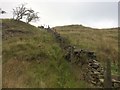 Drystone wall in need of repair