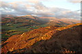 On Muncaster Fell