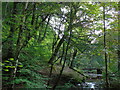 Footbridge over Holcombe Brook