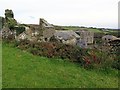 The ruined farm at Boswarthen