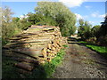 Timber stack on Causeway Lane