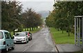 Road through the campus