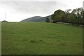 Field beside Sheep Burn Bridge