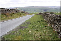 SD9592 : Road towards Askrigg at Newbiggin Pasture by Roger Templeman