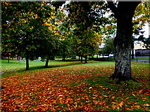 H4573 : Autumn scene, The Grange Park, Omagh by Kenneth  Allen