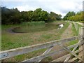 Dog pool in Cotgrave Country Park