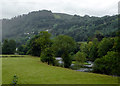 Riverside pasture north-west of Llangollen, Denbighshire