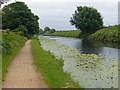 Leeds and Liverpool Canal at Aintree