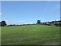 Field north of Wood Lane