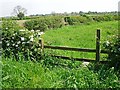 Stile, California Lane