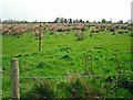 NY4058 : View towards Shortdale Farm from Windsor Way by Rose and Trev Clough