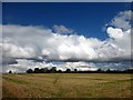 Field path near Tithby