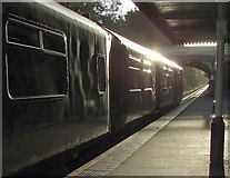 ST5874 : Train at Redland station by Derek Harper