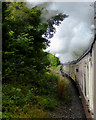 The Llangollen Railway near Pentrefelin, Denbighshire