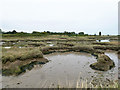 Saltings, Little Wakering Creek