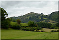 SJ1643 : Pasture north-east of Glyndyfrdwy, Denbighshire by Roger  D Kidd
