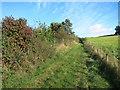 Bridleway on Farnborough Down