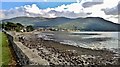 Shore of Carlingford Lough looking towards Rostrevor