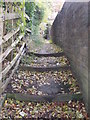 Footpath - Carleton Road