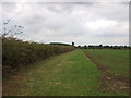 TM4784 : Field margin near Moat Farm by JThomas