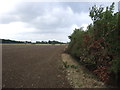 TM4783 : Field and hedgerow, Wrentham West End by JThomas