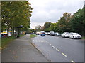 Bus stop and shelter on Norwich Road (A144)