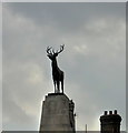 Hertford War Memorial