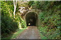 SX4971 : Grenofen Tunnel by Guy Wareham