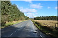 Road to Newton Stewart