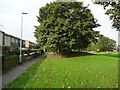 Path at rear of Oatland Gardens, Leeds