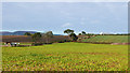 Farming on the Black Isle - October