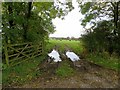 Entrance to a hayfield