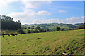 Turfmoor near Membury