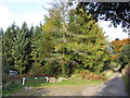 Lane and forestry entrance near Cefn-fforest