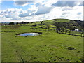 Open land near Penddeugae-fach