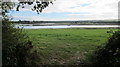 Estuary and mudflats