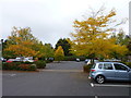 Autumn colour in the car park