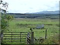 Field near Newsham