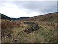 NT0517 : Ruined sheepfold near Tweedhopefoot by Iain Russell