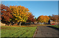 Autumn at New Cumnock Station