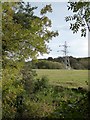 SX5154 : Electricity pylon seen from The Belt woodland, Saltram by David Smith