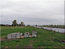 TL3974 : Earith: near the south end of The New Bedford River by John Sutton
