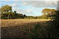 Stubble field by Lower Norton Lane