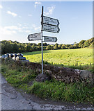 W4374 : Finger post sign at the junction by David P Howard