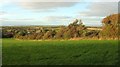 Field boundary, Norton