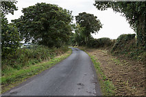 W4770 : Minor lane near Aglish by David P Howard